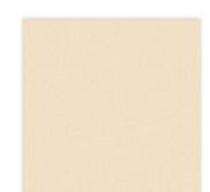 ALLENCERA Granito1 600 x 600 mm Cream Polished Ceramic Tile_0