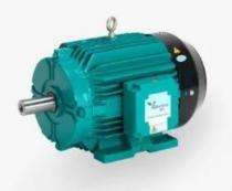 1500 rpm Three Phase 100 hp Four Pole Foot Mounted AC Motors_0