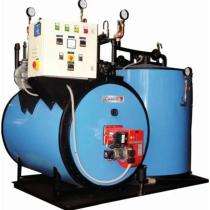 Thermax 20 TPH Hot Water Boiler AMW04_0