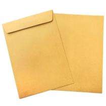 Paper 100 gsm 12 x 10 inch Envelopes_0
