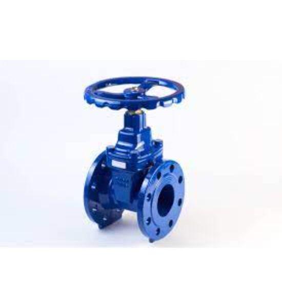 40 mm Manual Gate Valves_0