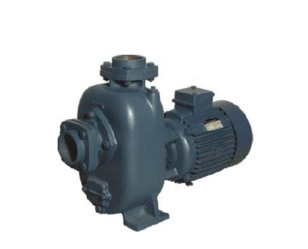 Crompton 5 hp 2024 pump price