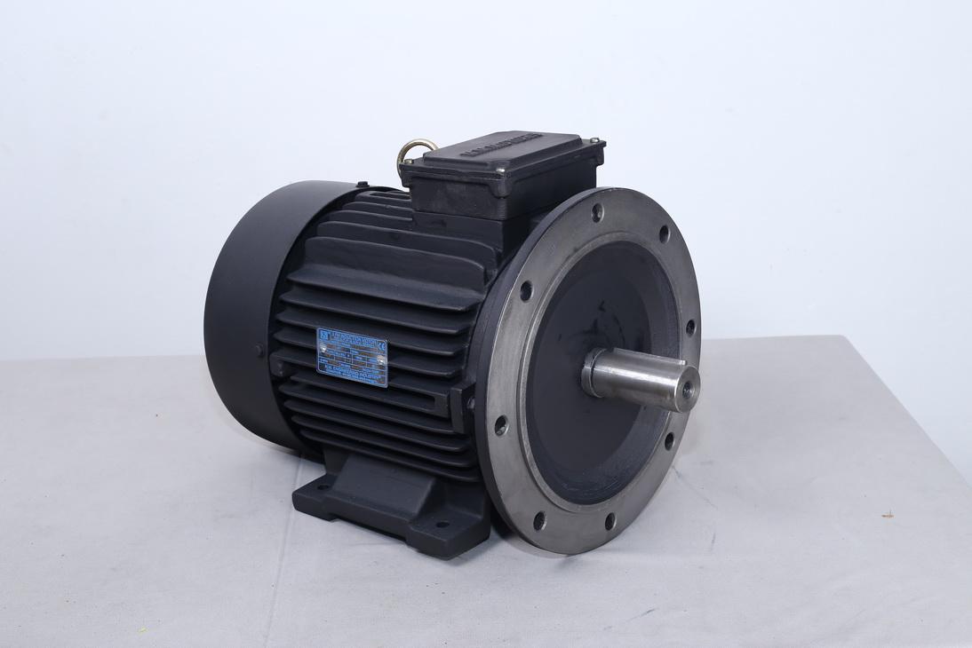 NM MOTORS Three Phase 20 hp Four Pole Foot and Flange Mounted AC Motors_2