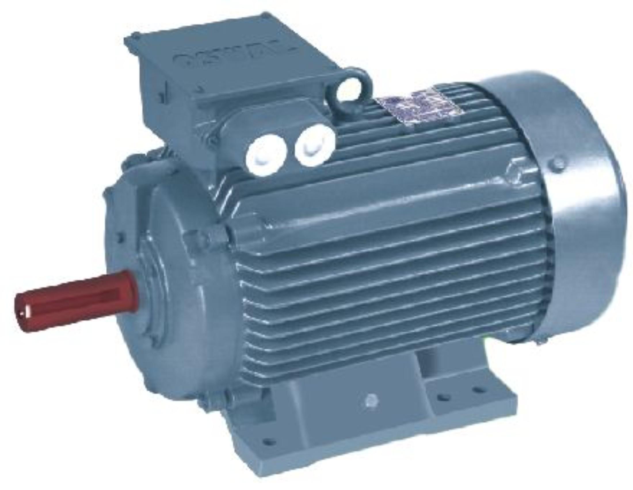 Buy OSWAL 960 rpm Three Phase 5 hp Six Pole Foot and Flange Mounted AC ...