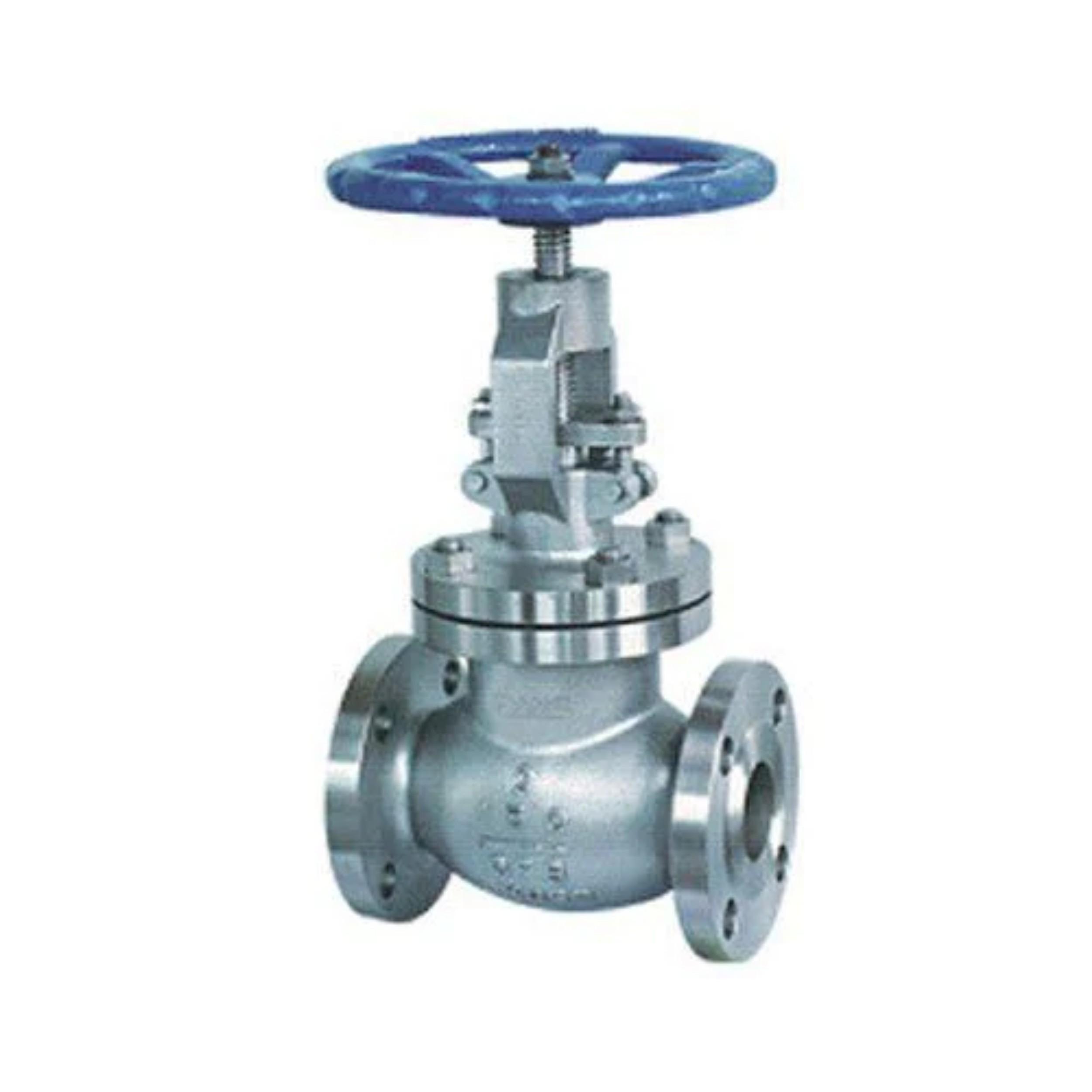 DN 25 mm Manual Gate Valves_0