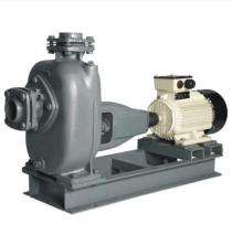Kirloskar SP4L+ 12.5 hp 2900 rpm Monoblock Pumps_0