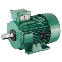 0.37 kW Worm Gear Motor 70000 Nm_0