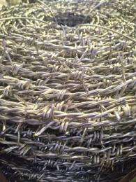 Hot Rolled GI Barbed Wires Upto 2.5 mm_0