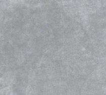 PASSERO T-03 2 x 2 ft Grey Glossy Vitrified Tile_0