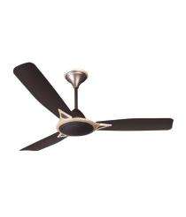 Crompton 600 mm 3 Blades 55 W Brown Ceiling Fans_0