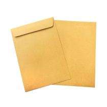 medium Paper 80 gsm 10 x 12 inch Envelopes_0