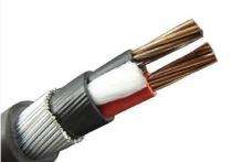 CIRTINA CABLES Copper XLPE GS Round Wire PVC LT Power Cables 2 Core 4 sqmm 1100 V_0