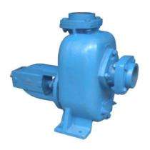 Motor Sewage Pumps 25 m_0