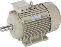 3000 rpm Three Phase 200 hp Double Pole Foot Mounted AC Motors_0