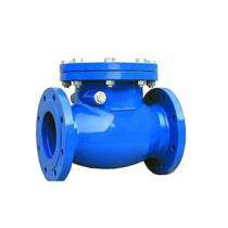 Manual CI Check Valves 65 mm Flanged_0