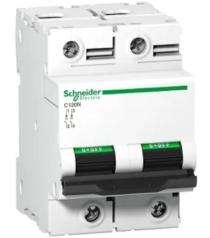Schneider Electric Double Pole 16 A C Curve MCB_0