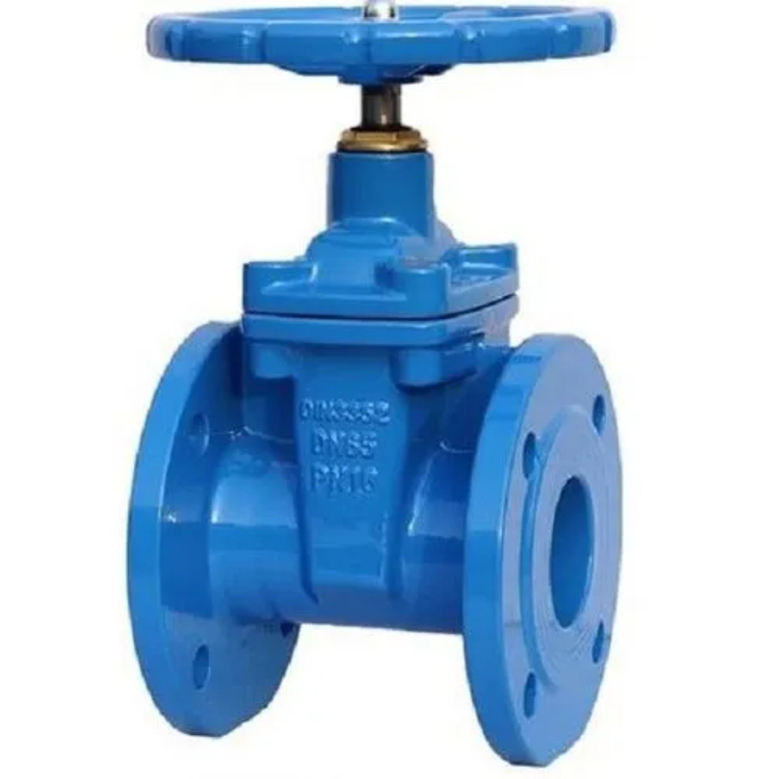 DN 65 mm Manual Gate Valves_0