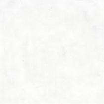 Disha Zoya 148.5 x 450 mm White Glossy Vitrified Tile_0