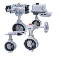 KITZ 10 inch Manual Aluminium Butterfly Valve G-10XJME_0