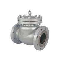 Manual CI Check Valves 65 mm Flanged_0
