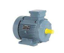 1200 rpm Three Phase 2 hp Four Pole Foot Mounted AC Motors_0