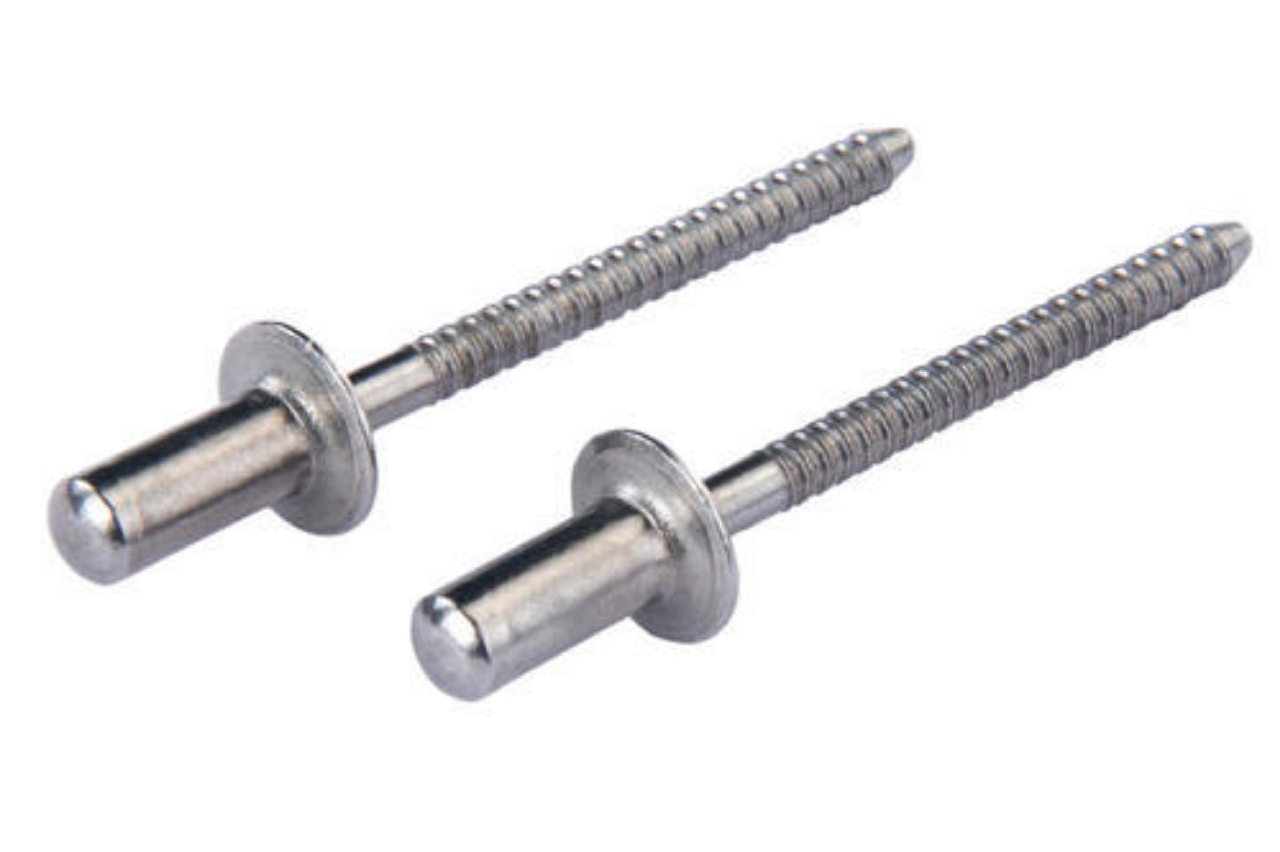 Pan Head Rivet 13 x 50 mm Stainless Steel_0