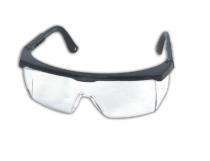 Plastic Safety Goggles Punk_0