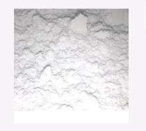 Shri Laxmi Plaster Gypsum Plasters 25 kg White_0