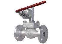 PRANSHU DN 40 mm Manual Cast Steel Gate Valves Flanged_0