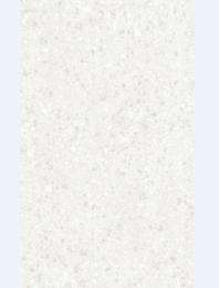 OASIS Aspero 600 x 1200 mm Doge Rock Blanco Rustic Full Body Tile_0
