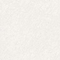 OASIS Oriental beige 600 x 600 mm White Glossy Double Charged Tile_0