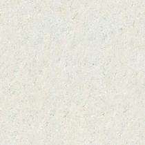 OASIS Oriental Aqua 600 x 600 mm Aqua Glossy Double Charged Tile_0