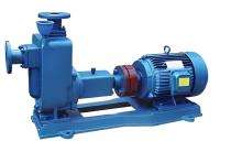 Cast Iron 25 hp Slurry and Sludge Pumps_0