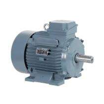 Three Phase 455 hp Four Pole Foot Mounted AC Motors_0