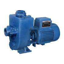 3 hp Single Phase Dewatering Pumps_0