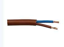 Polycab Copper XLPE Flat Steel Strip PVC LT Power Cables 2 Core 4 sqmm 1100 V_0