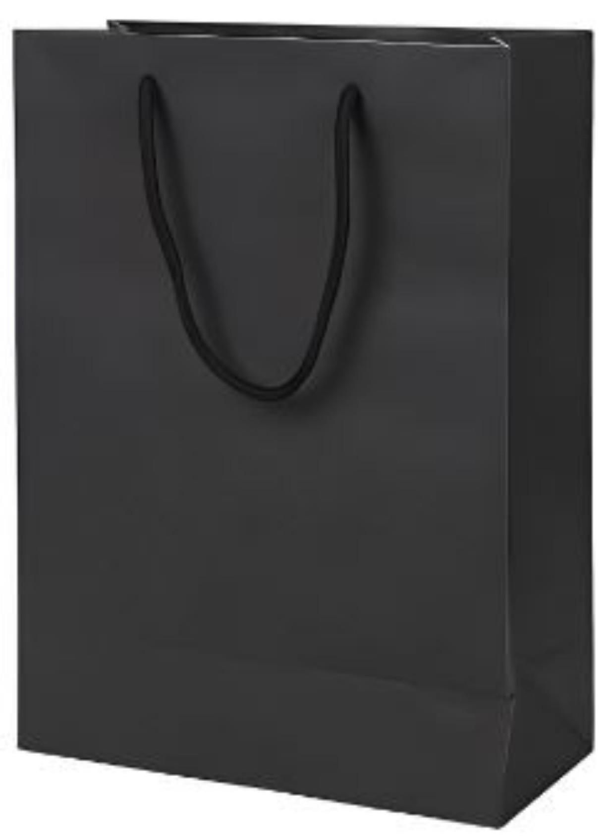 Plain Paper Bags, Manufacturer & Supplier in Ahmedabad, Best Price