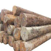 Ganapathy Teak Wood Timber 100 x 100 mm_0