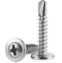 Fortune Round M4 40 mm Self Tapping Screws Stainless Steel Polished_0