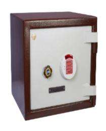 Mild Steel Code Type Safety Lockers 50 L_0