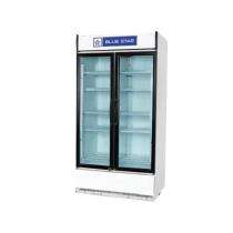 BLUE STAR SC1000F 947 L Double Door Refrigerator 2 Star_0