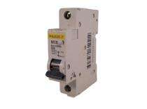 Square D Single Pole 25 A C Curve MCB_0