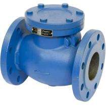 Universal DN 65 mm Manual Cast Iron Check Valves Flanged_0