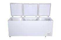 Freezers Chest 700 L 830 x 650 x 800 mm_0