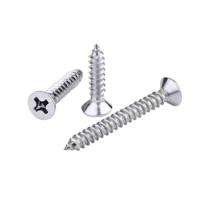 New Star Round M2 - M12 3.2 - 100 mm Self Tapping Screws Stainless Steel Polished_0