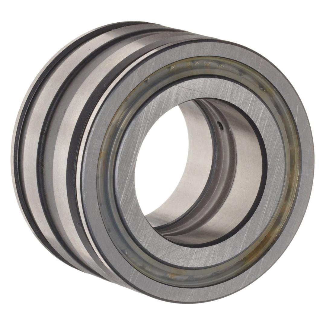 INA Double Row Cylindrical Roller Bearing SL045005-D-PP_1