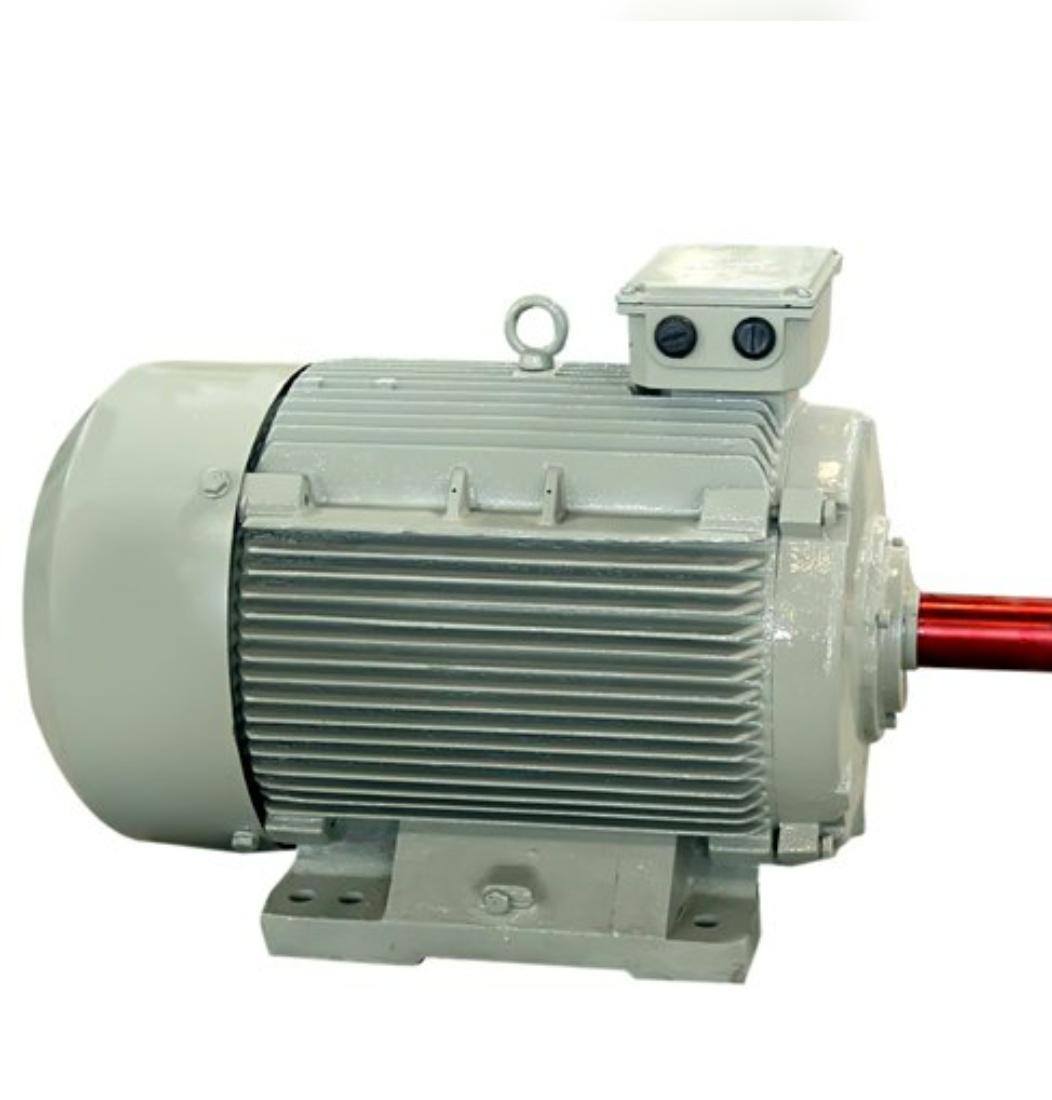 OSWAL Three Phase 60 hp Four Pole Foot Mounted AC Motors_1