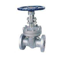 L&T 50 mm Manual Stainless Steel Globe Valves Flanged_0