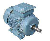 ABB 2660 rpm Three Phase 0.37 hp Double Pole Foot Mounted AC Motors_0