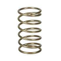Sri Padhma 2 - 150 mm Coil Spring Stainless Steel 2 - 6 mm 7320B2 250 mm_0